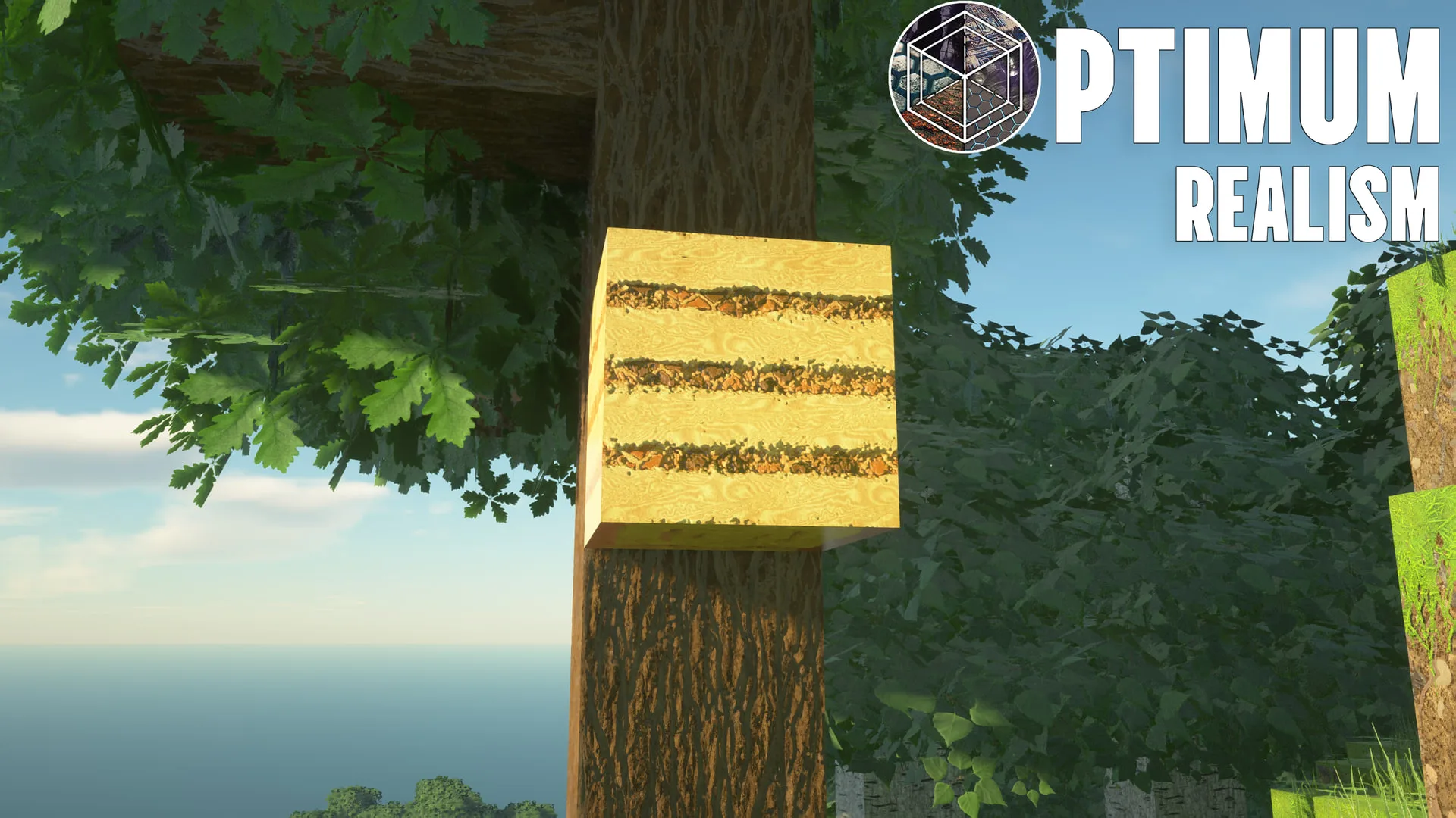 Optimum Realism in-game screenshot