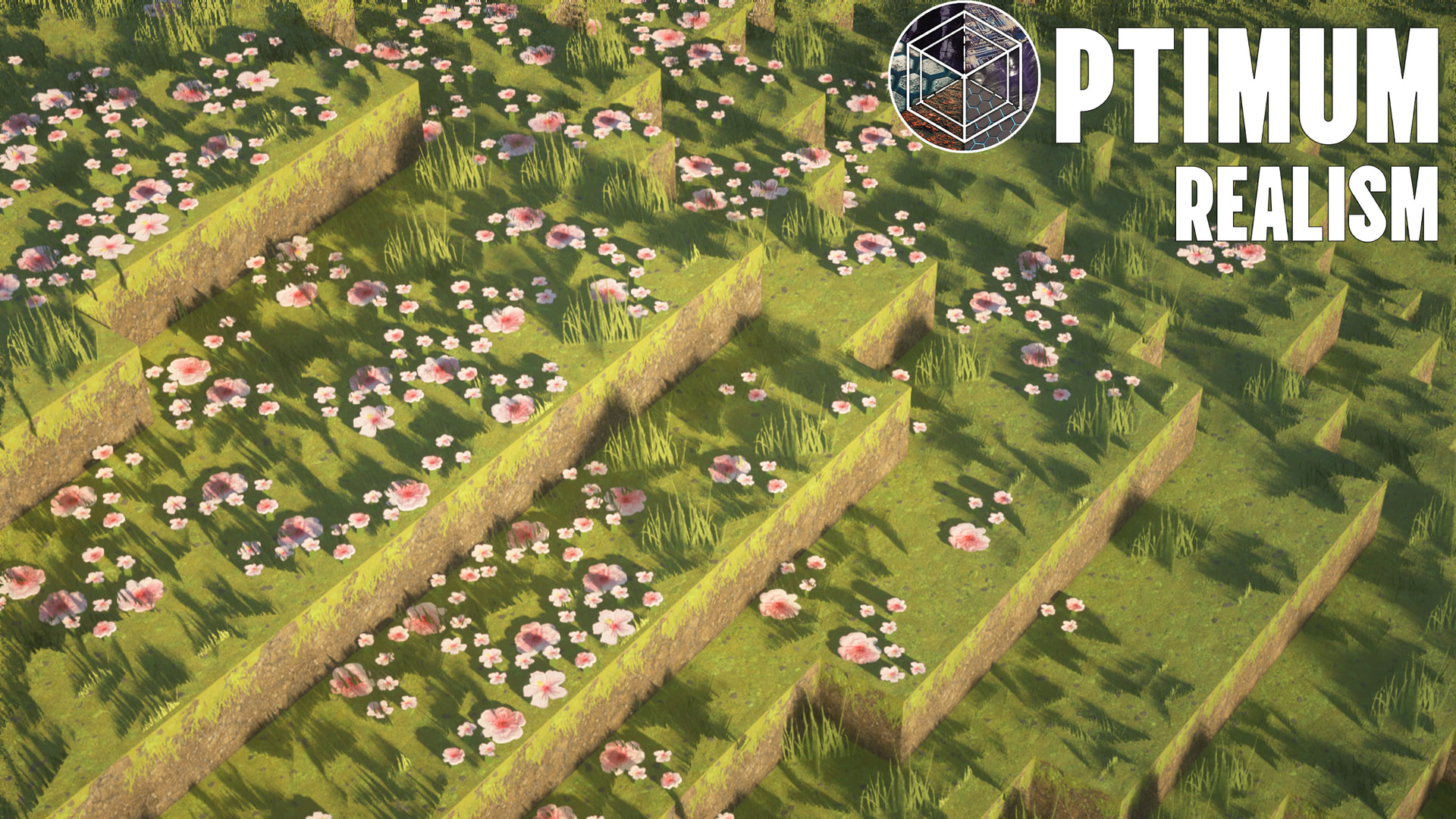 Field of flowers with realistic shading