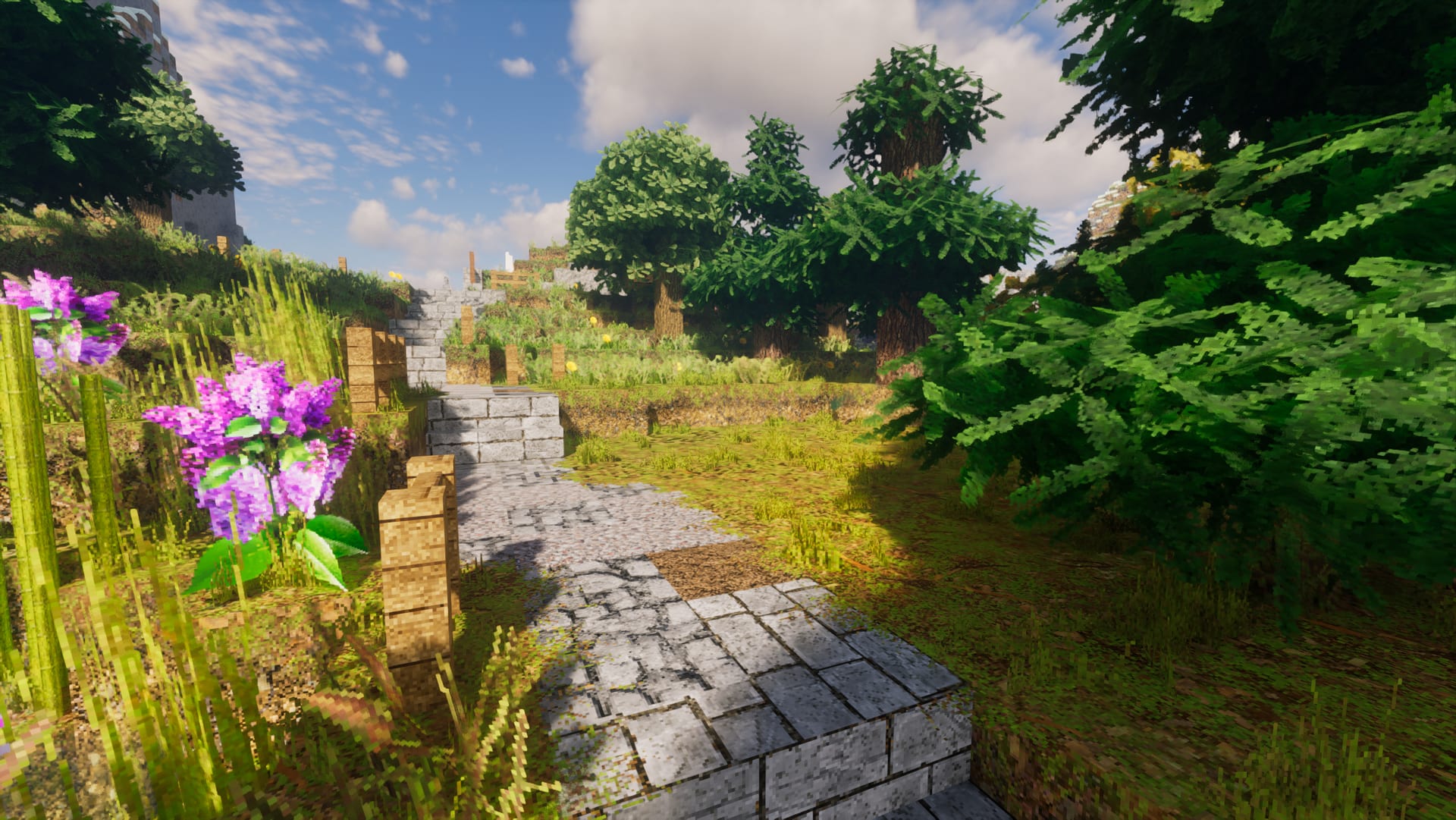 Stone walkway winding through thick grass and wildflowers under a clear sky in realistic Minecraft, Optimum Realism texture pack with shaders