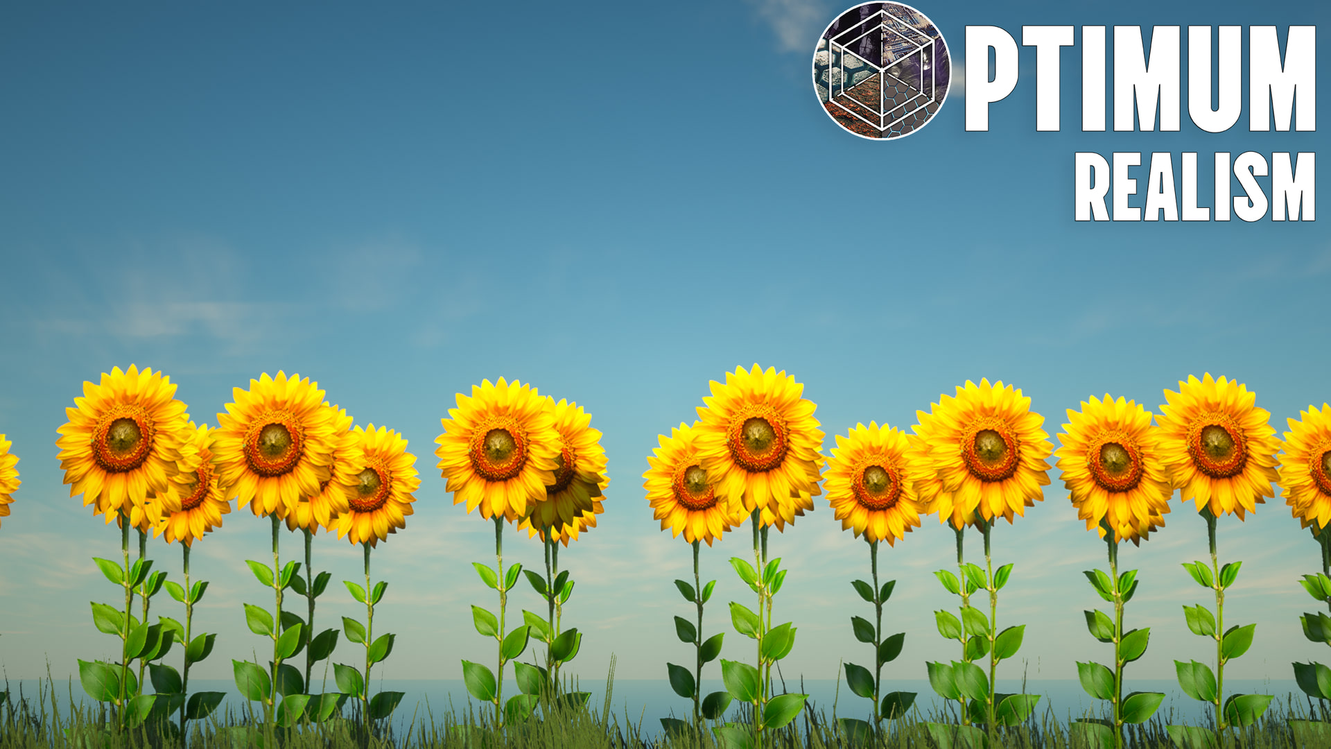Bright sunflowers with realistic petals
